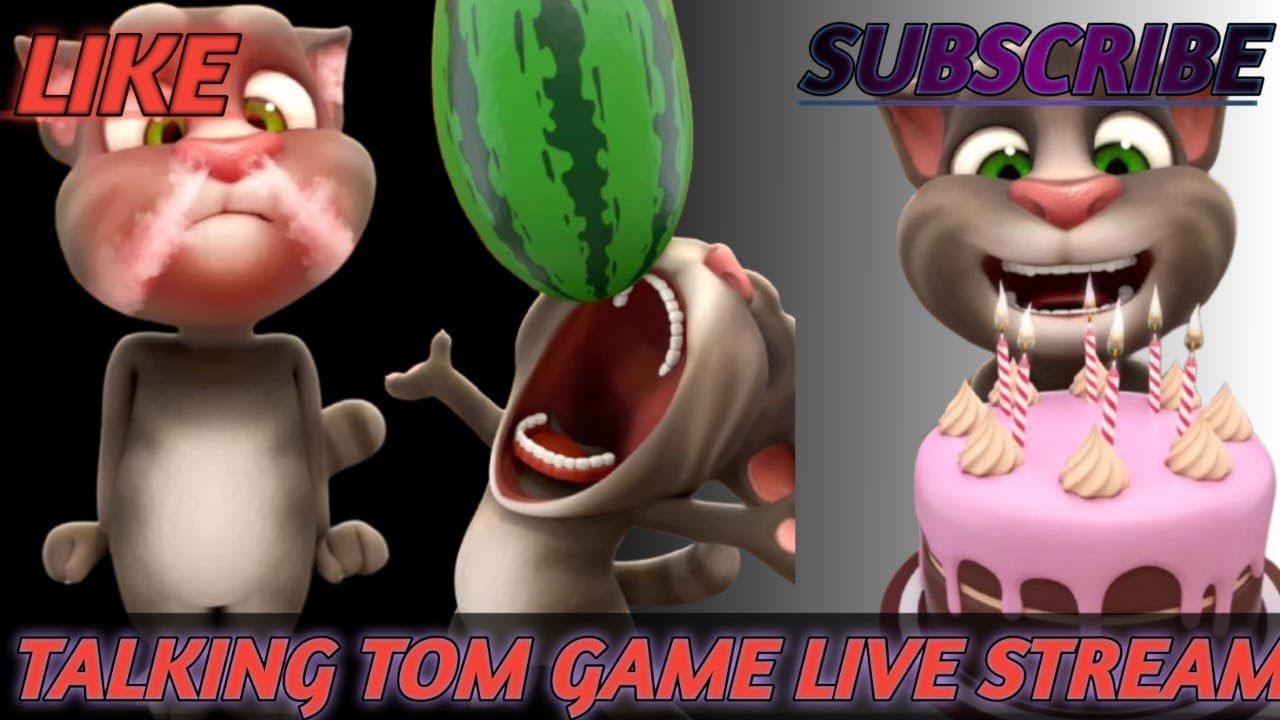 Talking Tom Cat Game