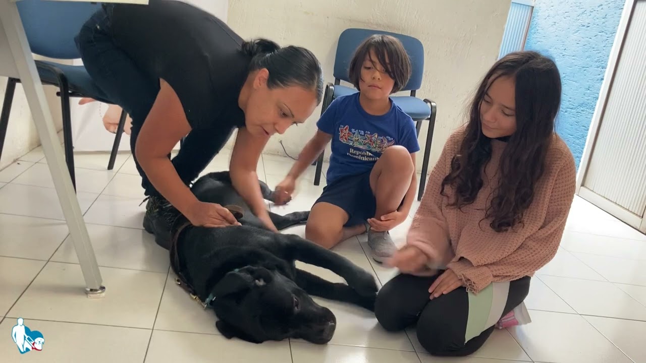 Adopci&oacute;n temporal: PRAIA