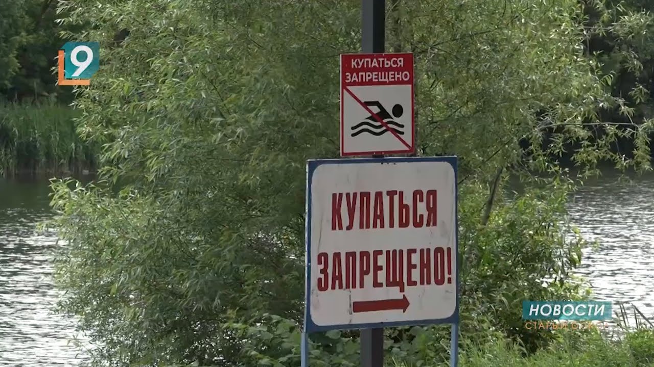 Новости Старого Оскола от 11 июня