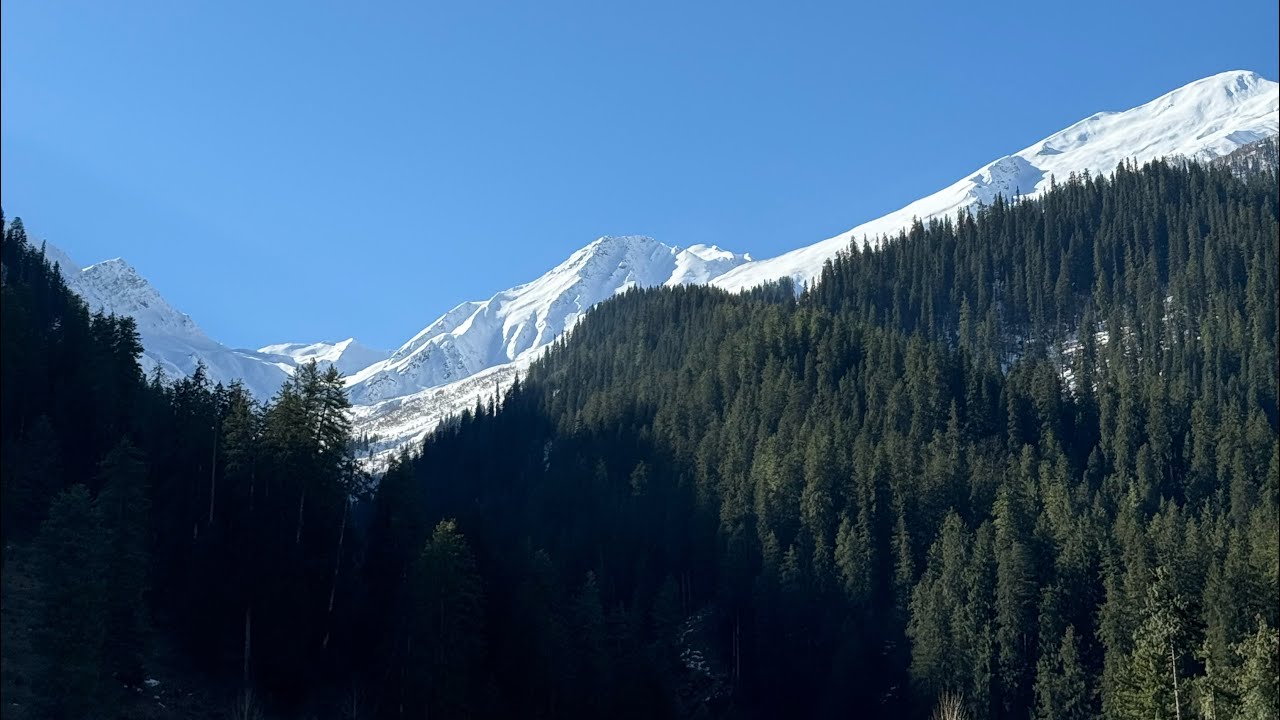 Himalayan Serenity : Live from Kalga , Himachal