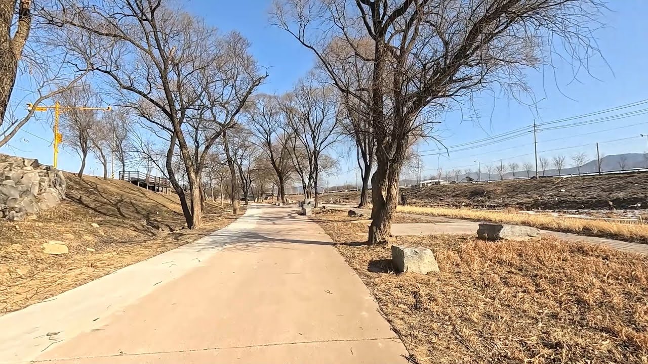 676th Running | 1/25/2026 | Lunch Run | 6km Jogging