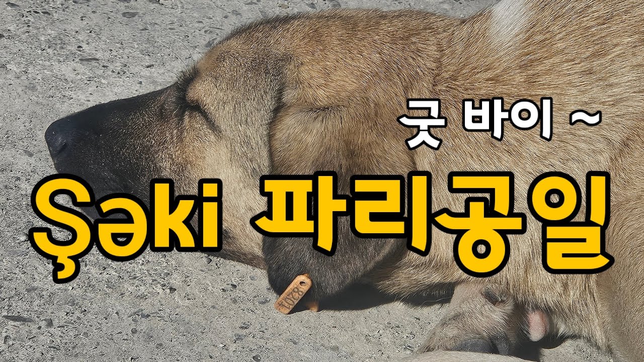 코카서스 산 마을 Şəki 셔키