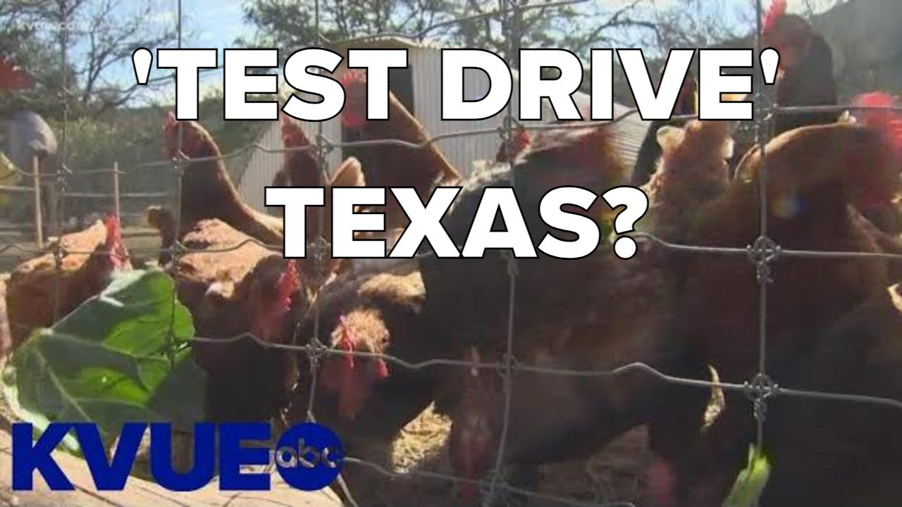 Austin resort letting guests 'test drive' Texas for a month | KVUE