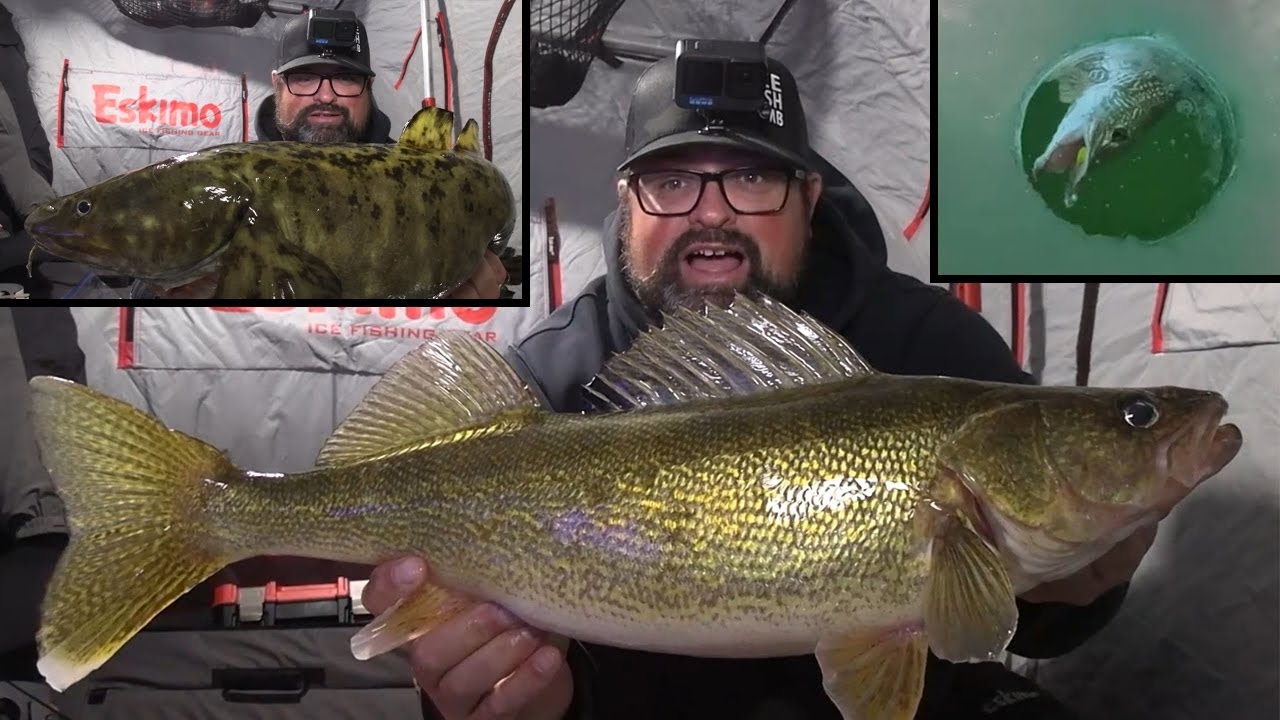 Ice Fishing for Multi-Species | Where to find BIG Walleye!