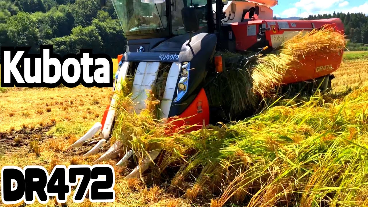 Kubota combine harvester DR472 クボタの4条72馬力コンバインで刈り取りSTAR🏃‍♂️