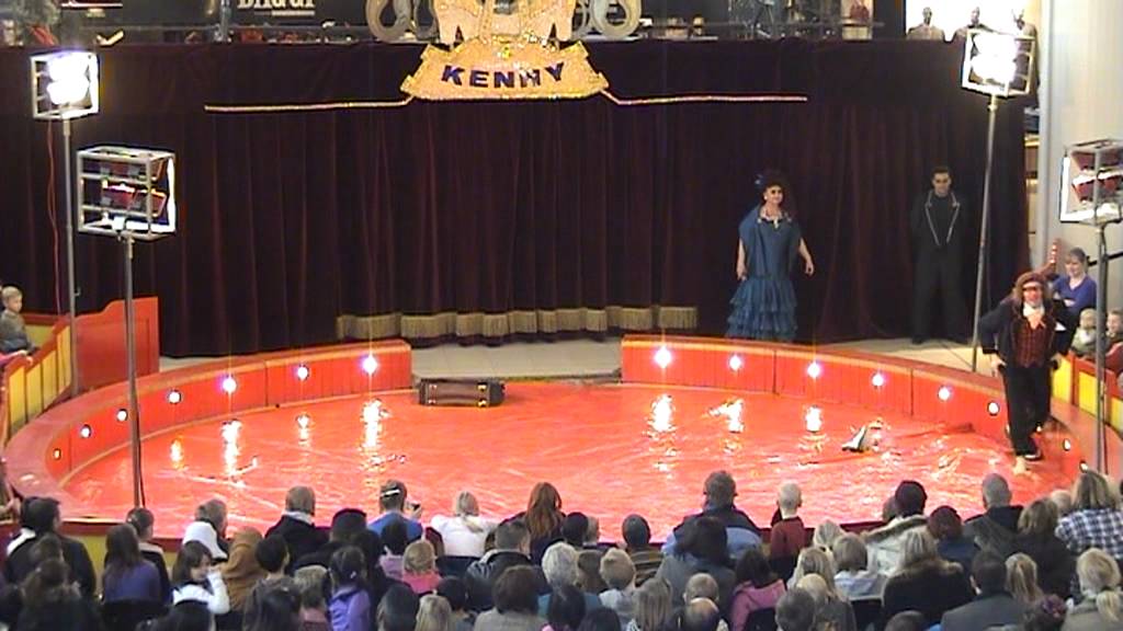 musik clown