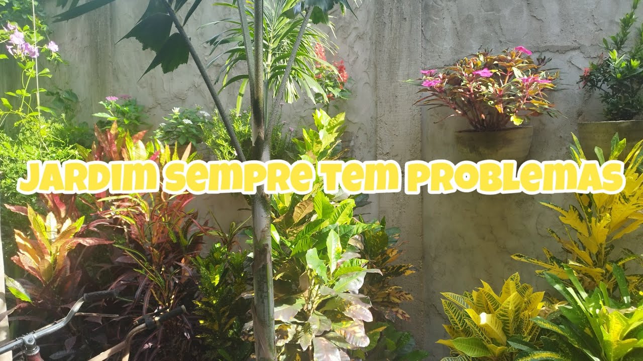 A Realidade do Jardim 🌿 | Plantas, Manutenções e os Desafios do Dia a Dia