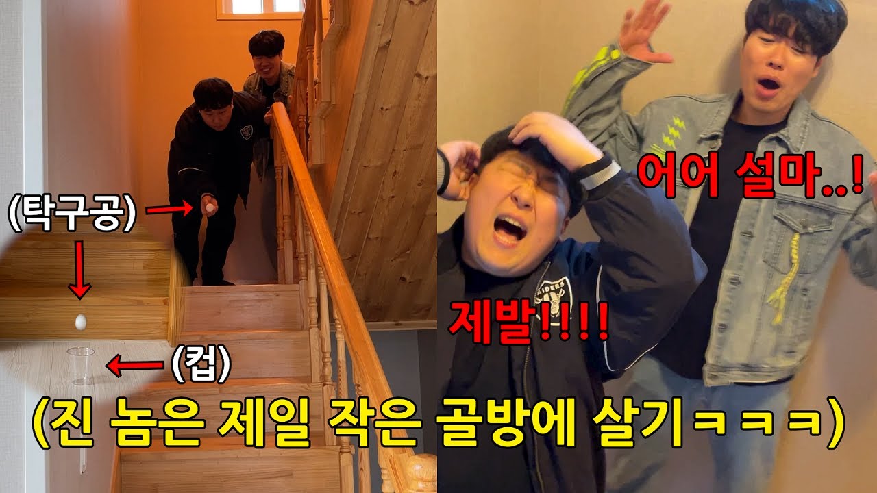 보물섬 동거 시작! 게임 한번으로 인생이 바뀌는 방 정하기 눈치 게임 ㅋㅋㅋㅋㅋㅋㅋㅋ