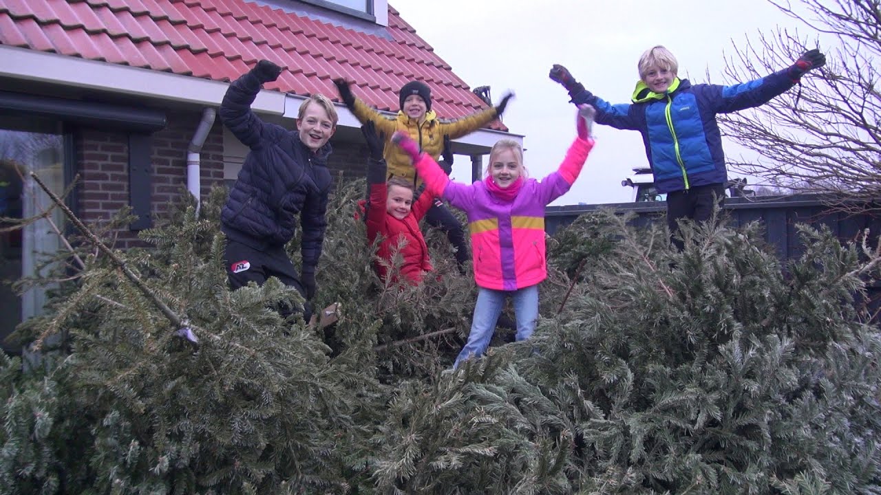 Lars, Bor en Dex uit Tuitjenhorn verzamelden 244 kerstbomen.