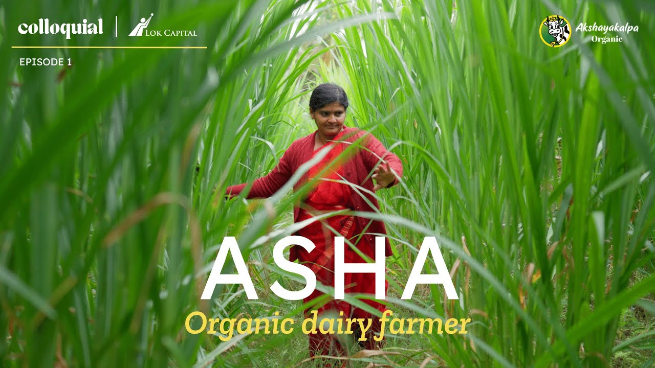 Asha, an organic dairy farmer