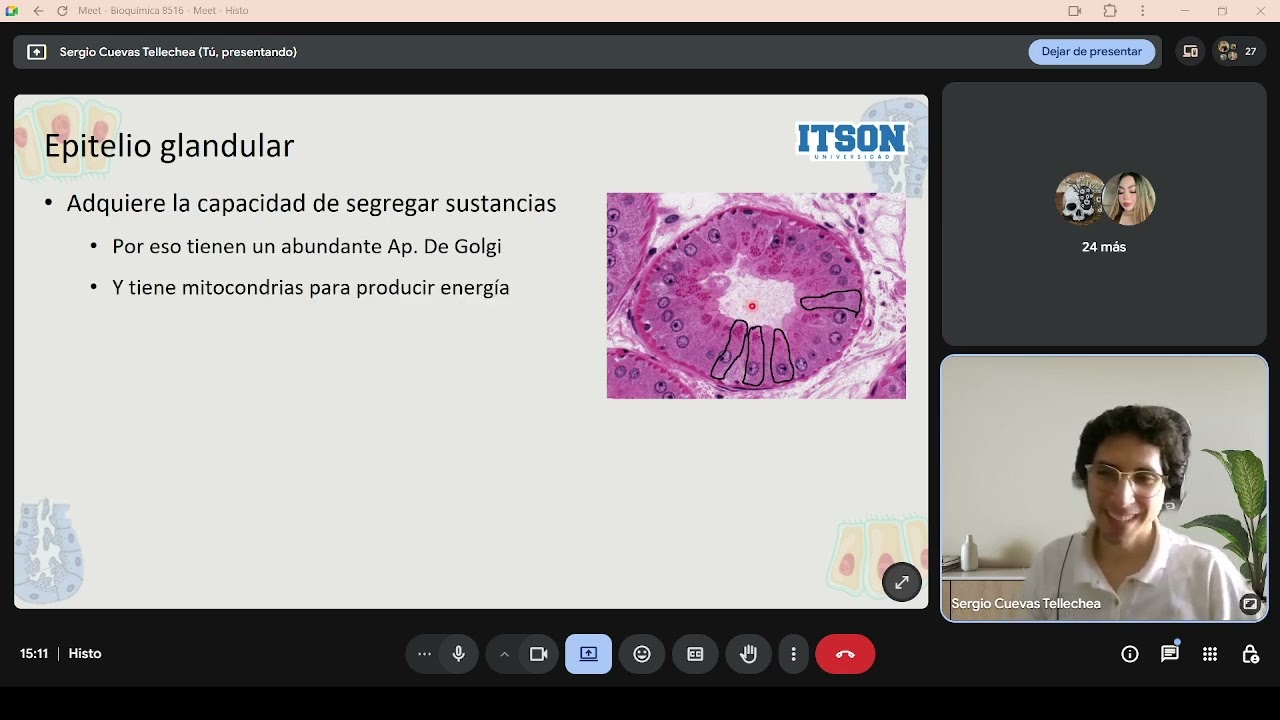 Epitelio Glandular