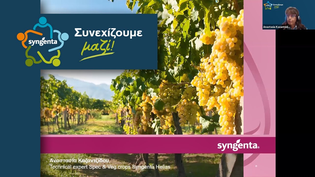 Online Σεμινάριο Taegro και αντιμετώπιση ασθενειών στο Αμπέλι