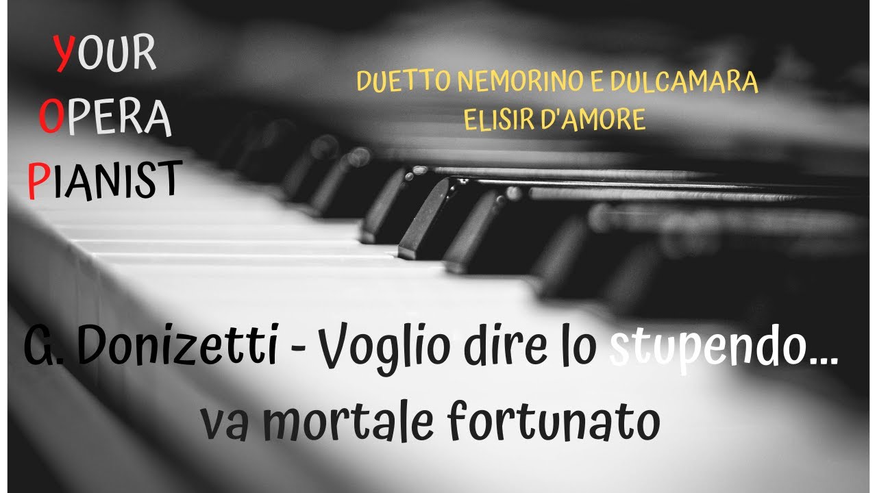 G. Donizetti - Elisir d'amore - Voglio dire, lo stupendo...va mortale fortunato// YOUR OPERA PIANIST
