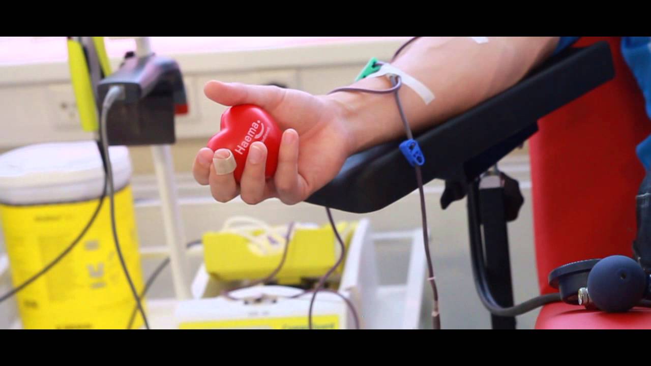 Der Weg des Blutes aus Spendersicht - eine Blutspende beim Haema Blutspendedienst