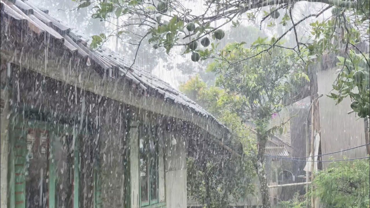 Super Loud Rainstorm 🌧️ Deep Sleep & Total Relaxation (No Music) 🛌