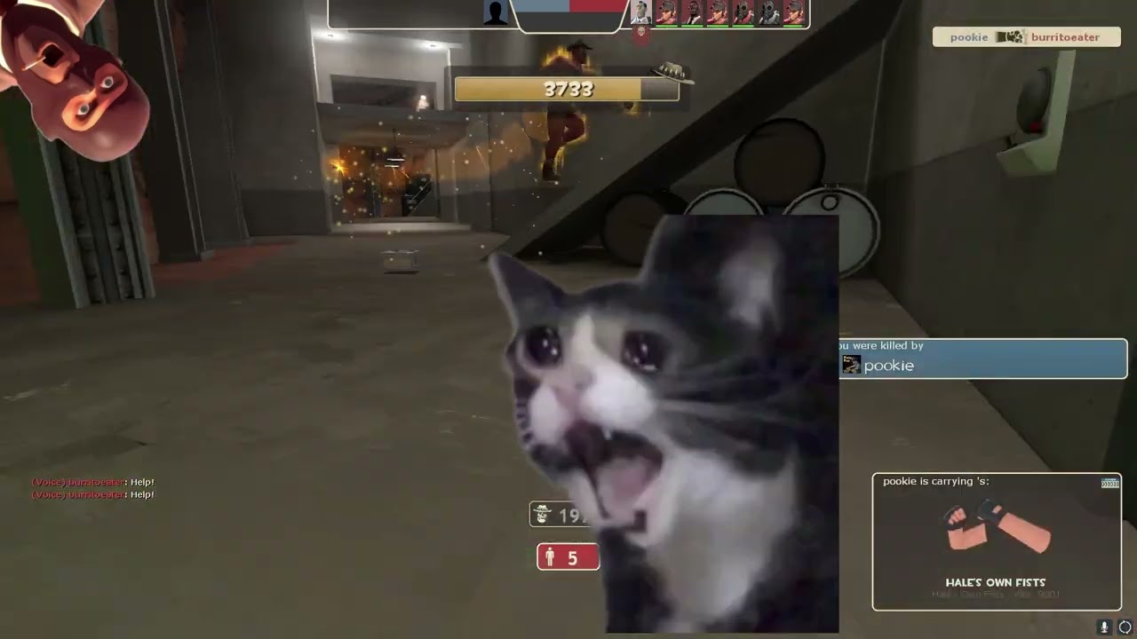 Summer 23 Racism and TF2