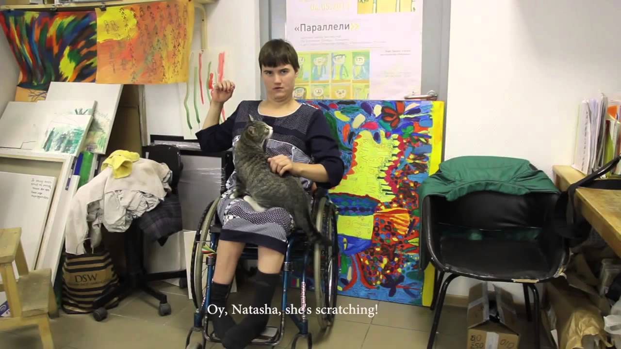 'Коты не мы/ Cats are not us'