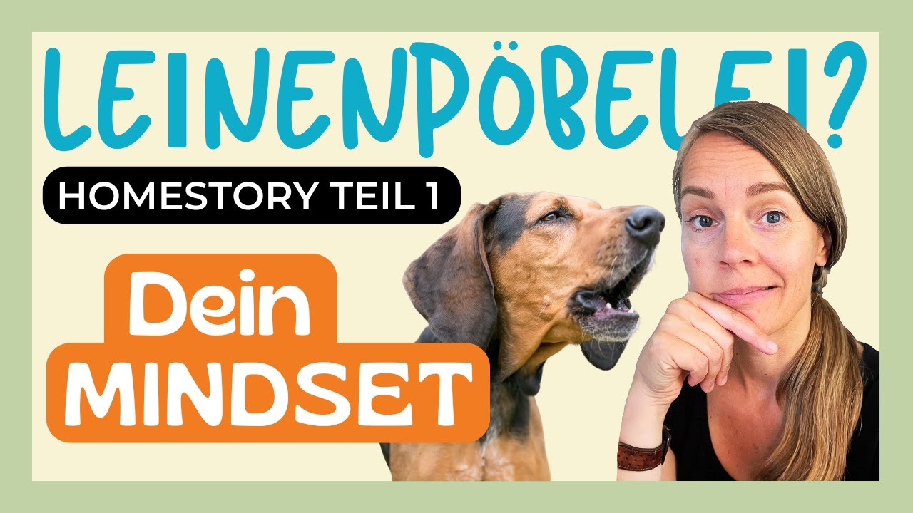 🔥 KEIN WITZ - DU MACHST 95% DEINES TRAININGSERFOLGES AUS 🔥 Homestory TEIL 1