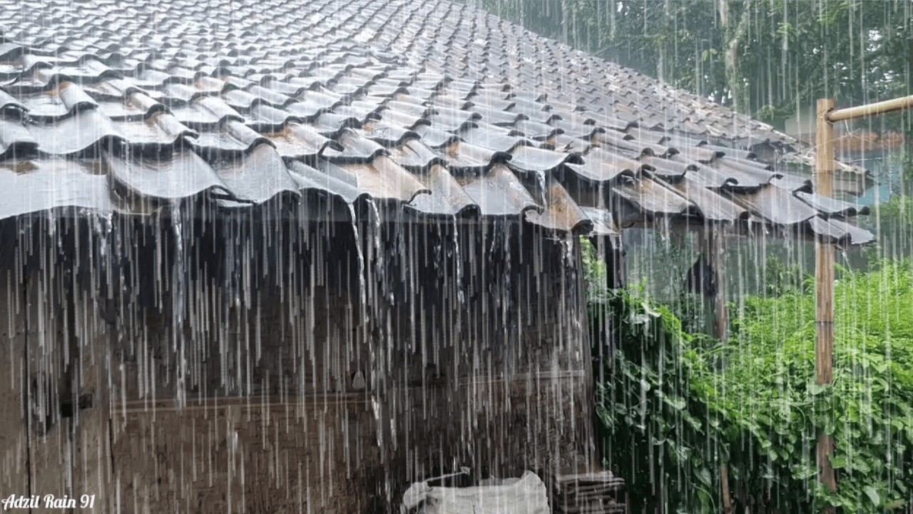 Сильный дождь 🌧 Быстро засыпаю 😴 Невероятно громкий шум дождя