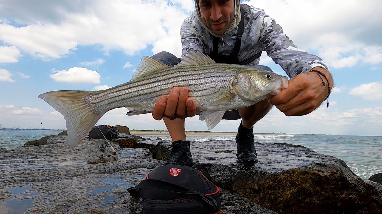 Jig Fishing NYC | Bluefish, Striped Bass & Fluke