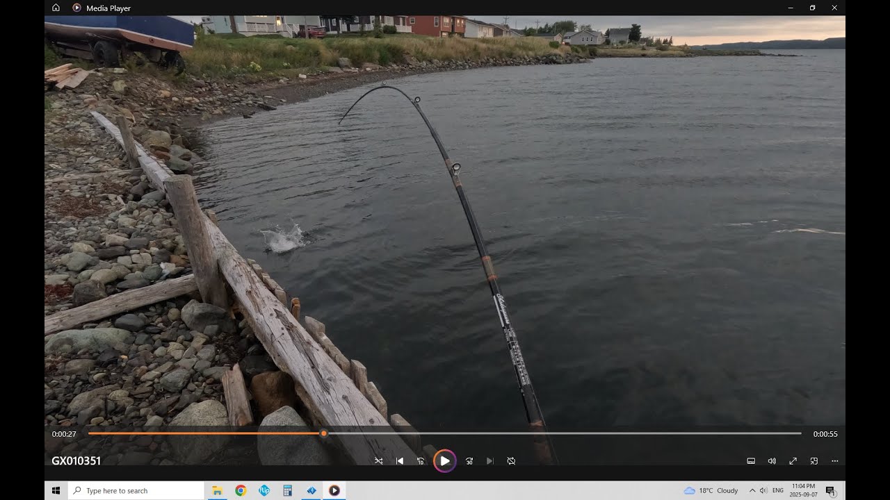 Newfoundland, Heading Up Country Berry Picking, Bear Baiting and Back Mackerel Fishing 2025