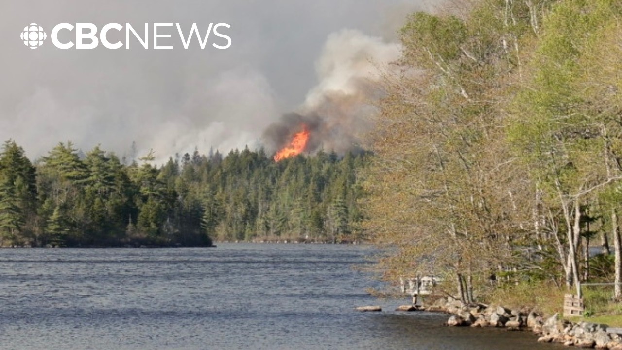 Why Nova Scotia has banned hiking in the woods