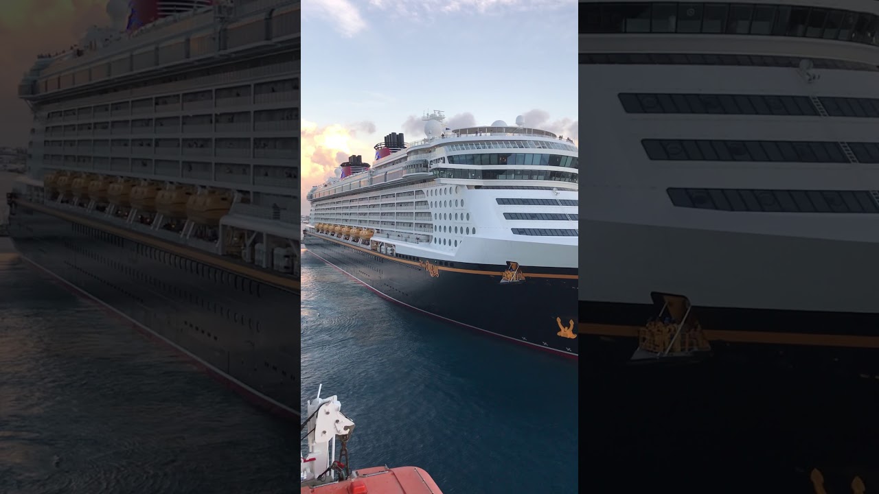 Battle of the Cruise Ship horns!!