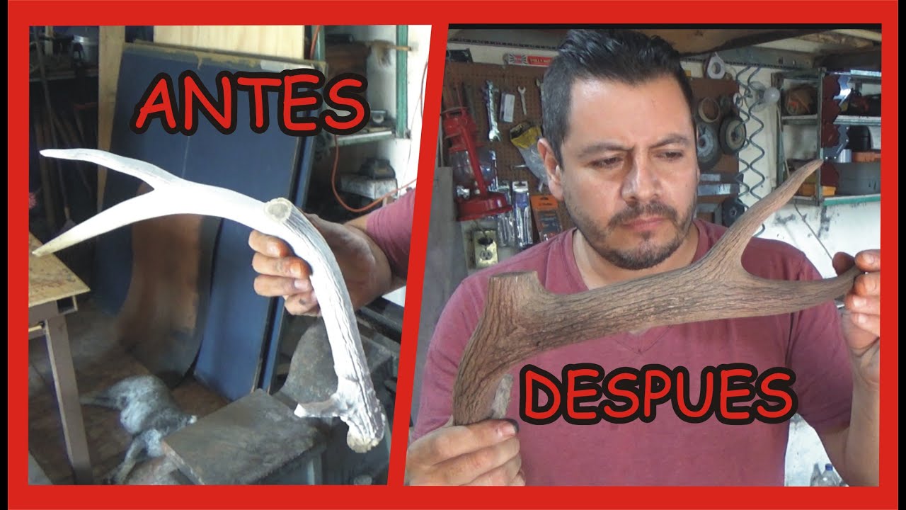 Restaurar  cuerno de venado para mango de cuchillo y ornato