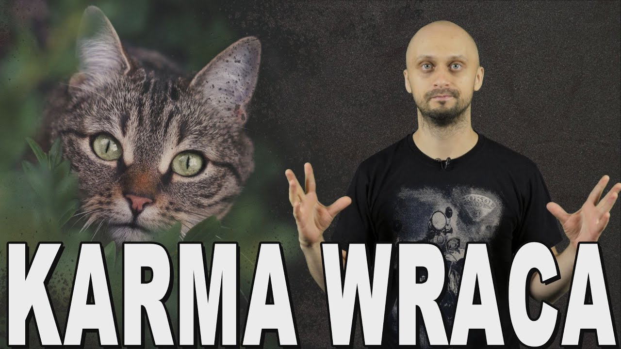 Karma wraca - historia kot&oacute;w. Historia Bez Cenzury
