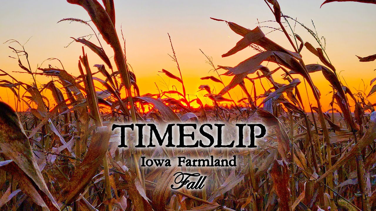 TIMESLIP: Iowa Farmland - Fall ASMR