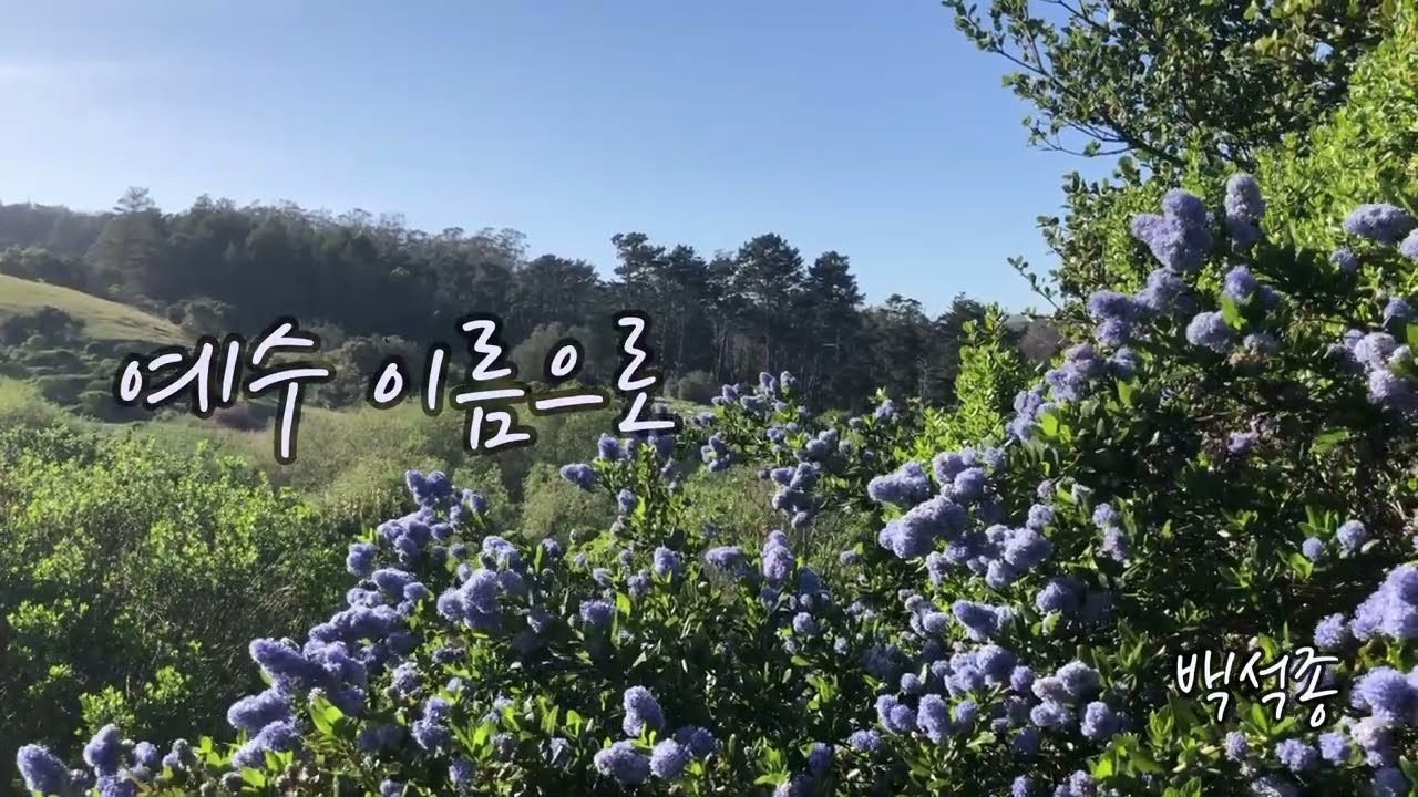 예수 이름으로 - 백석종