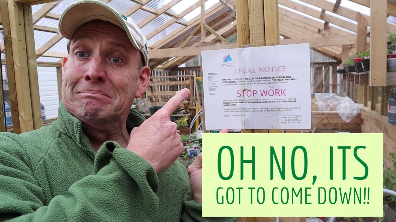 The Great Greenhouse Build 2020/21 - Its Got to Come Down!
