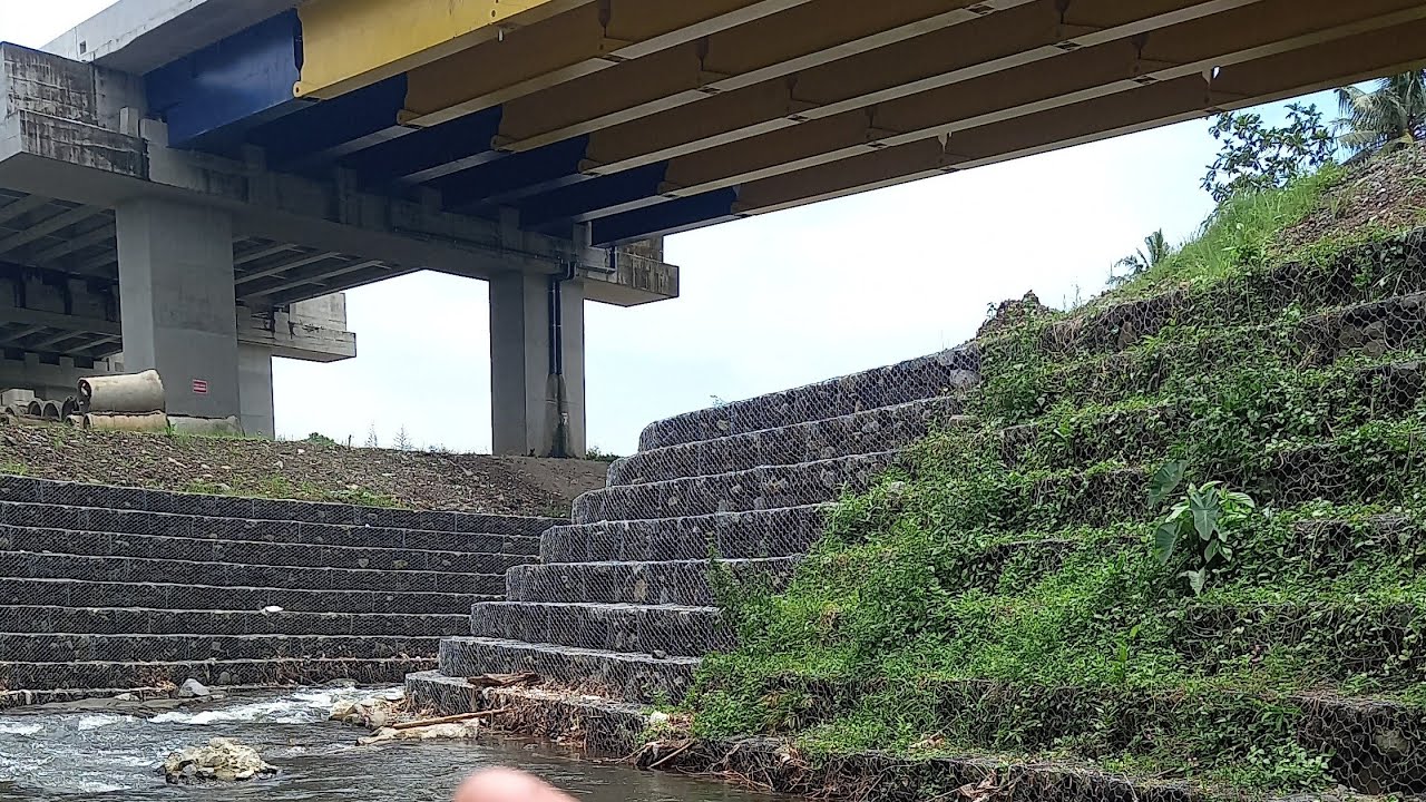 Raja Tawon ternyata sedang mengintai saat asik mancing dibawahnya‼️ Tetap hati2 kawan🥶