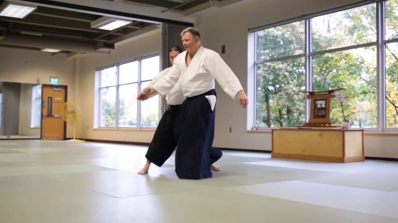 Jan Nevelius Shihan Seminar   Seattle October 2016