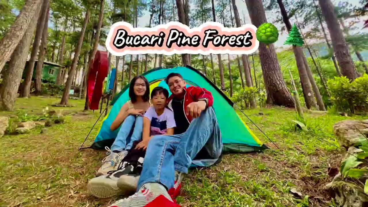 Bucari Pine Forest (Leon, Iloilo) April  17, 2025