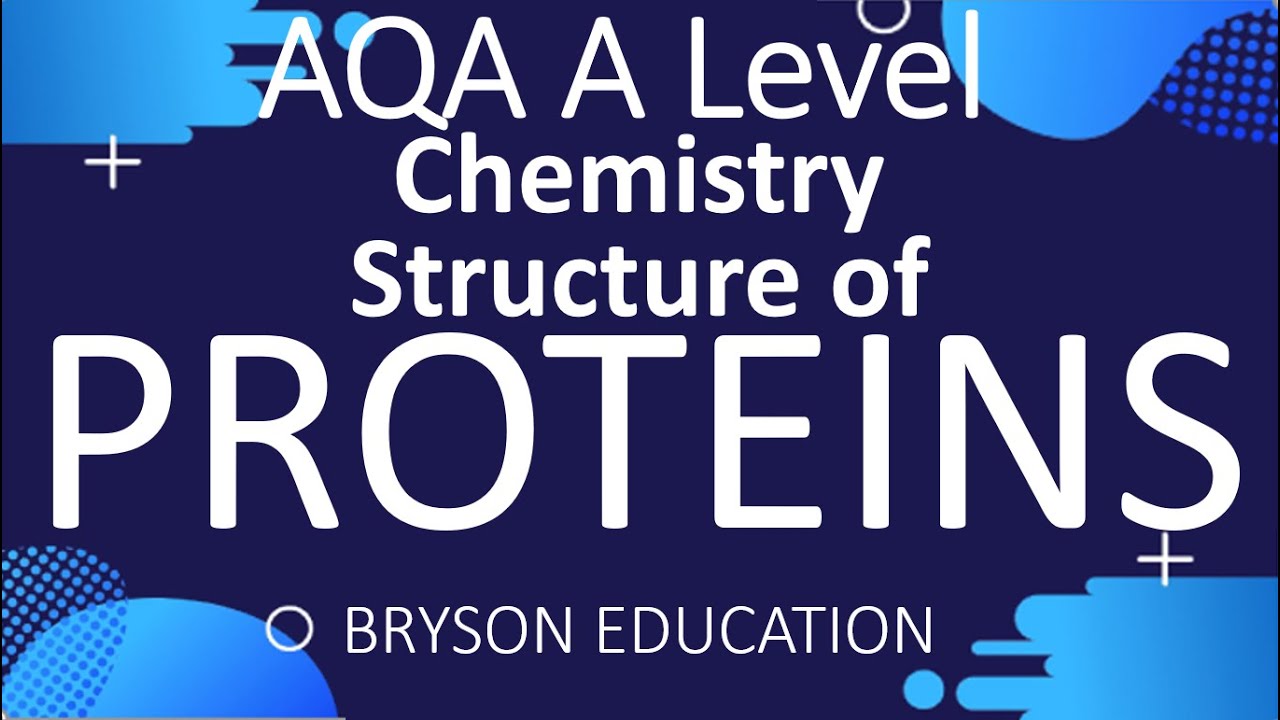 Structure of Proteins