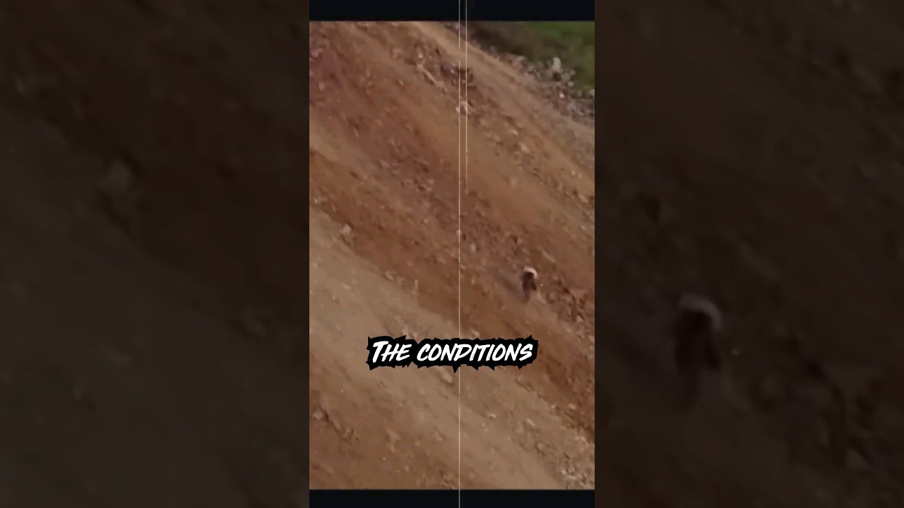 Negative Effects Of The Cobalt Mines Of Congo