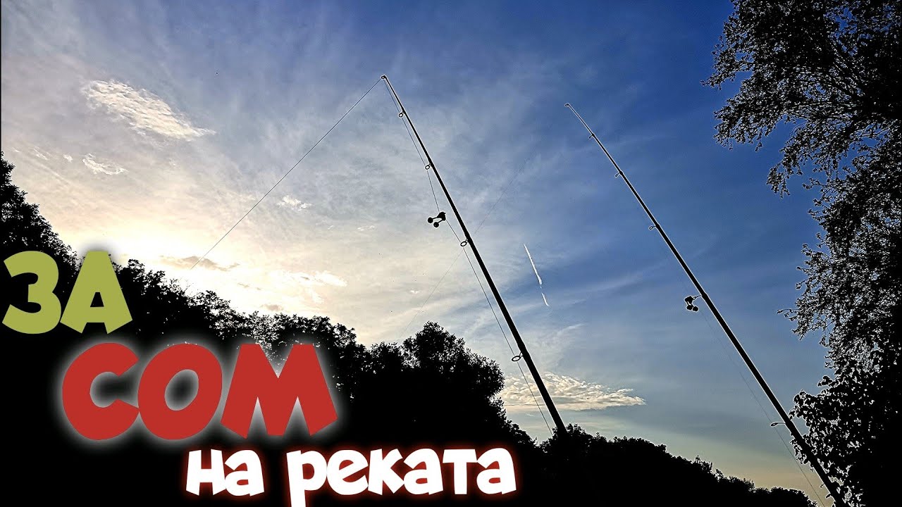СОМ на РЕКАТА. РИБОЛОВ на ДЪНО