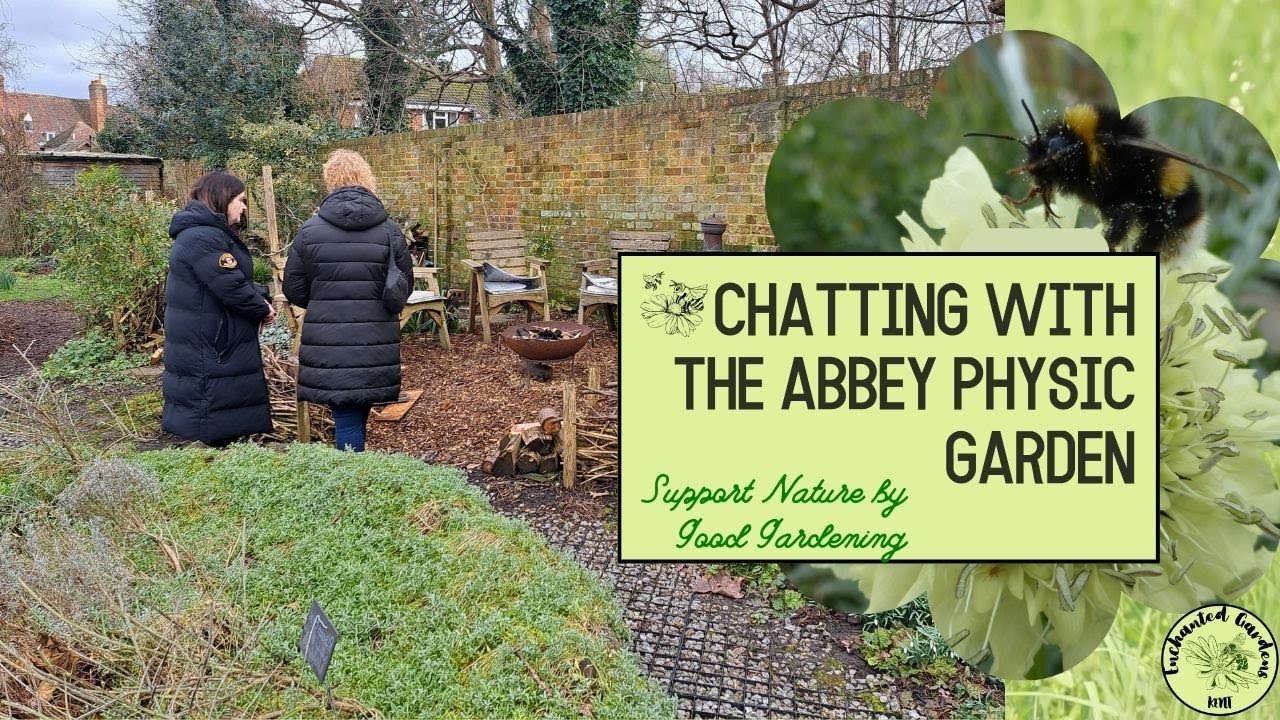 Chatting with the Abbey Physic Community Garden in Faversham