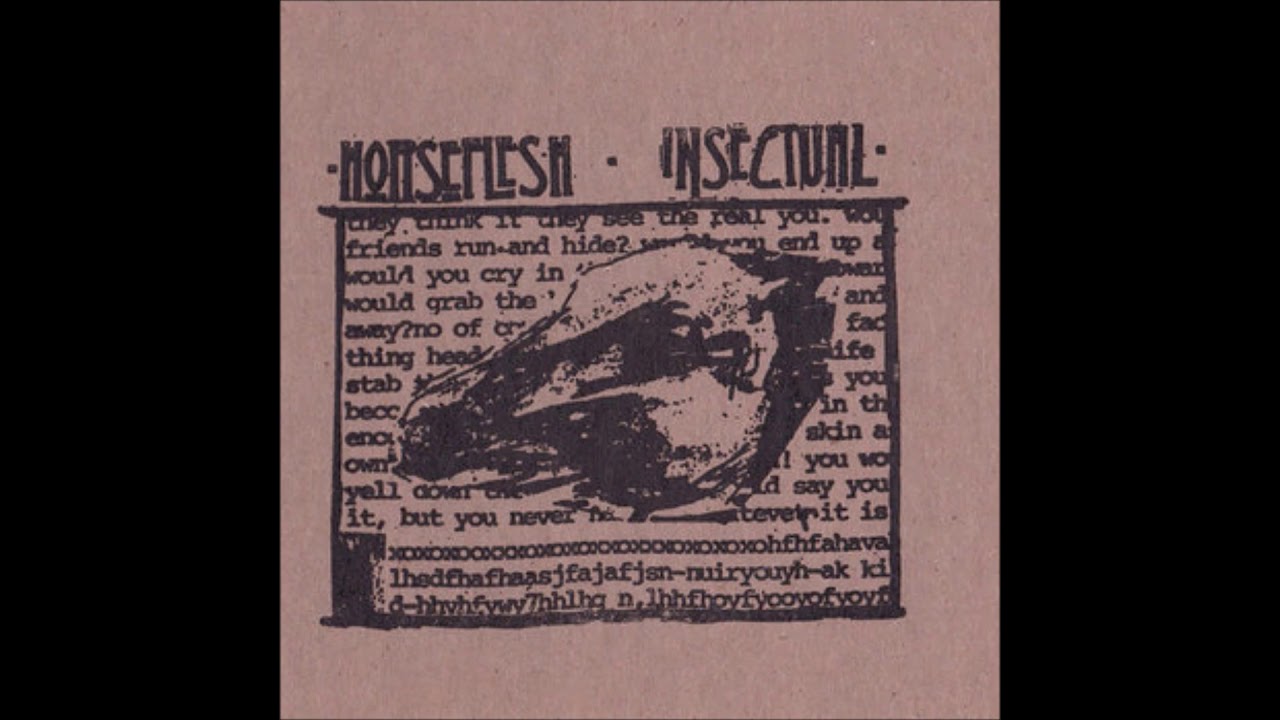 Horseflesh - Insectual