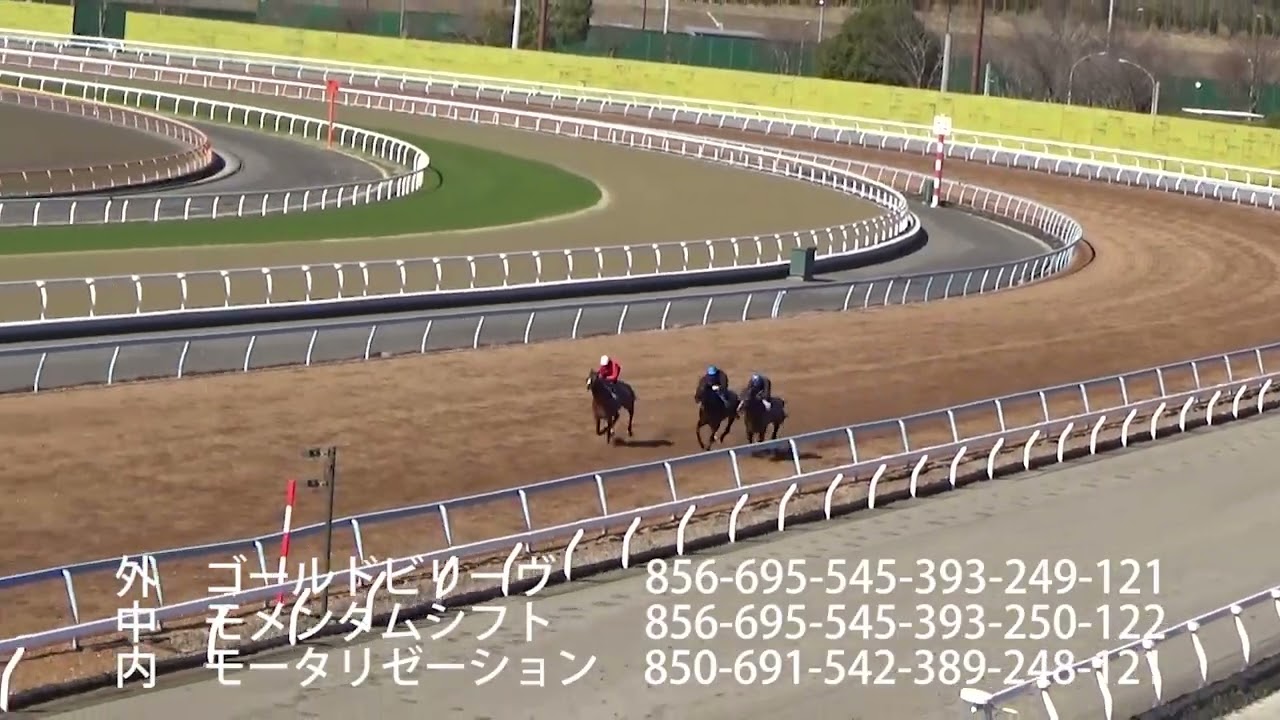 2026／3／11　ゴールドビリーヴ　モータリゼーション　モメンタムシフト