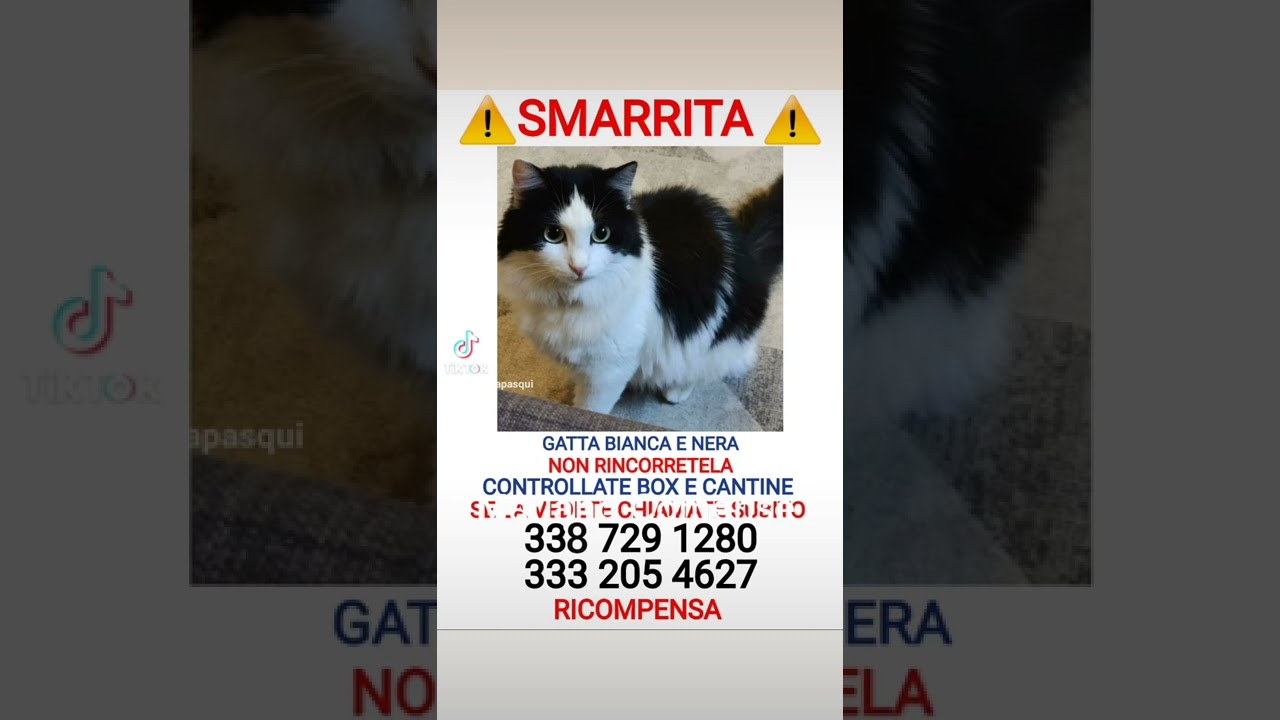 smarrita a Perticato di Mariano Comense