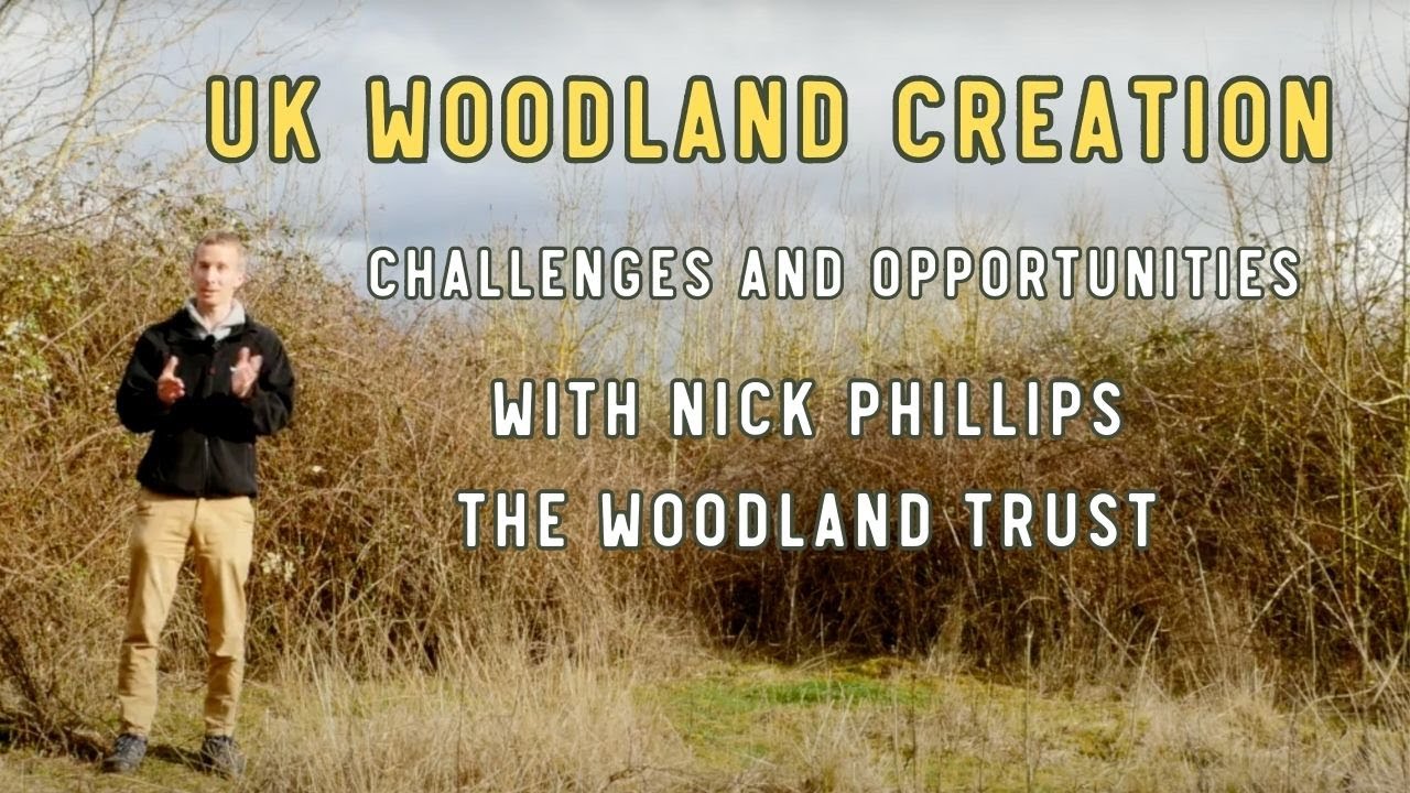 Woodland Creation in the UK - Challenges and Opportunities, with Nick Phillips, Woodland Trust