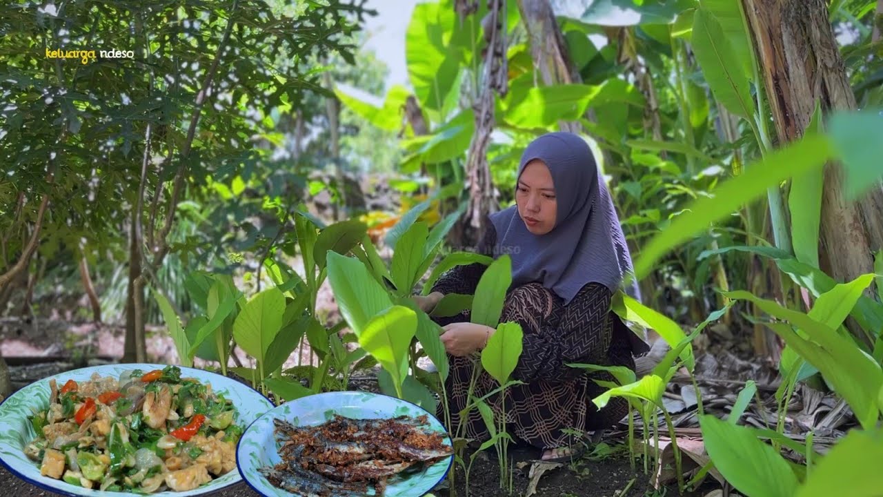 Masak sederhana di desa,tumis tempe daun kunyit, ikan goreng, super nikmat, masakan desa