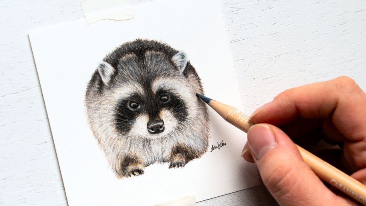 The cutest RACCOON drawing ASMR | Colored Pencil Timelapse