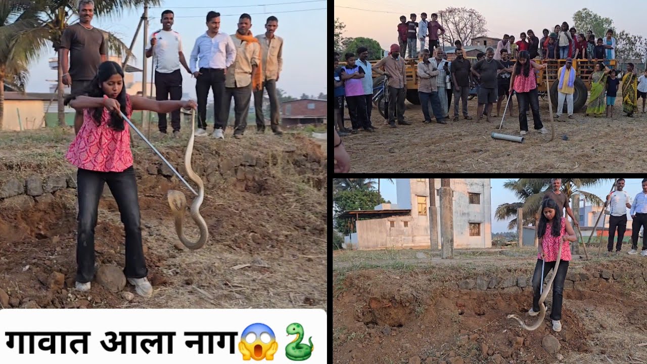 गावाच्या चौकात आला खतरनाक नाग 😱🐍 नाग बघायला लोकांची उडाली झुंबड 🙆🏻‍♀️ बघा कसा पकडला नाग!