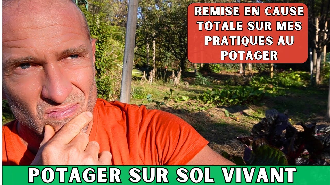Sol au ralenti, maladies, mauvaise analyse de sol... On fait quoi ?! 😱