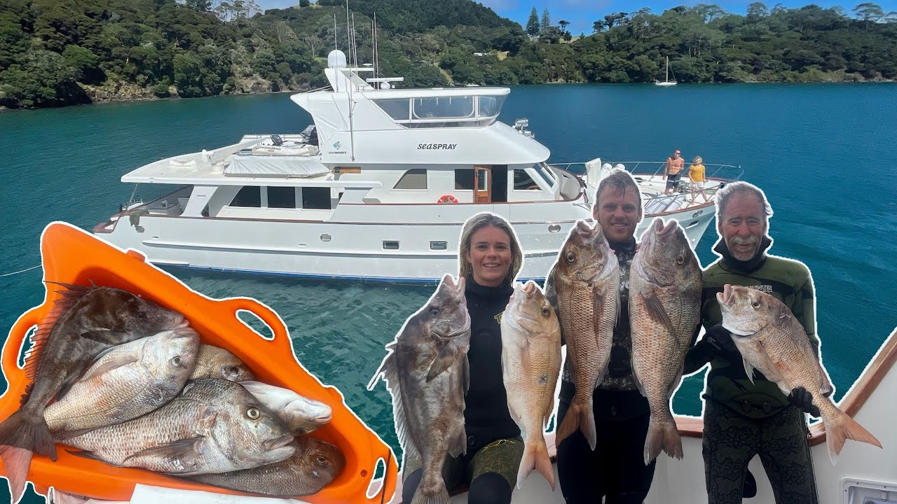 Snapper Spearfishing in DIRTY Mussel Farm