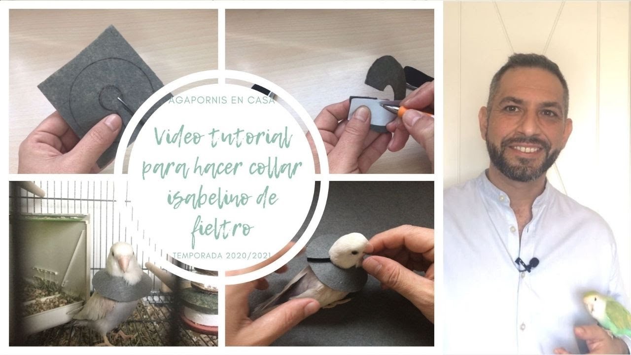 VIDEO TUTORIAL PARA HACER UN COLLAR ISABELINO DE FIELTRO