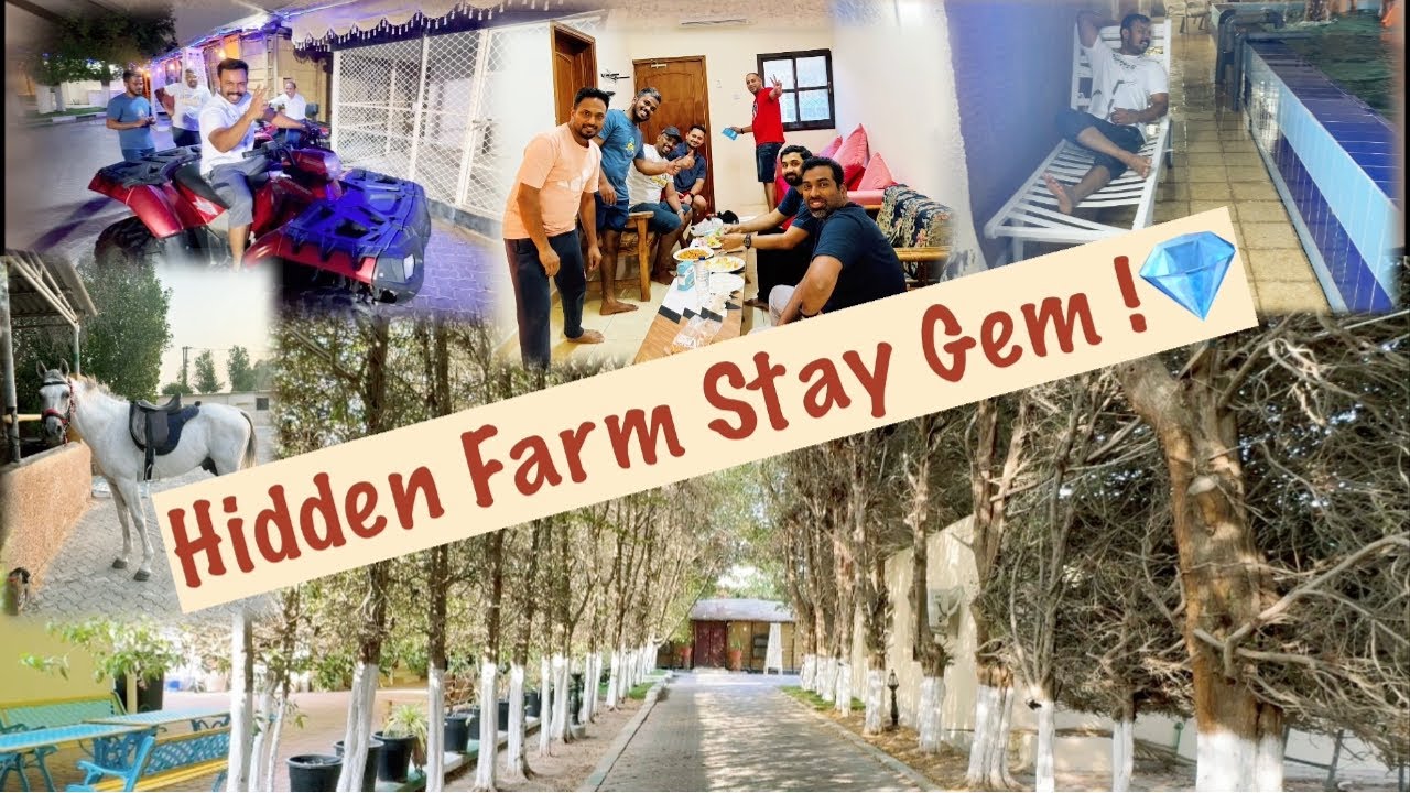 Peaceful Farm Stay Experience 🌾 | Nature Getaway Life Vlog | Vishnu Travel Bites | Abu Dhabi |